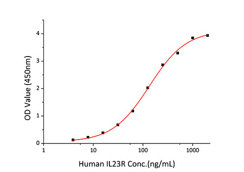 Recombinant Human IL-23R Protein