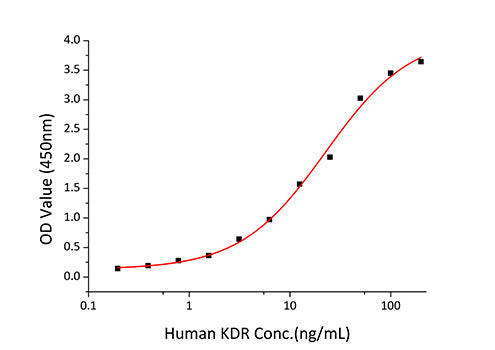 Recombinant Human VEGFR-2/KDR/CD309 Protein