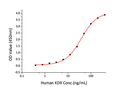 Recombinant Human VEGFR-2/KDR/CD309 Protein