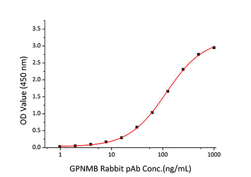 Recombinant Human Osteoactivin/GPNMB Protein