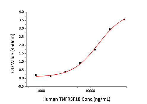 Recombinant Human TNFRSF18/GITR/CD357 Protein