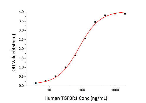 Recombinant Human TGFR-1/ALK-5 Protein