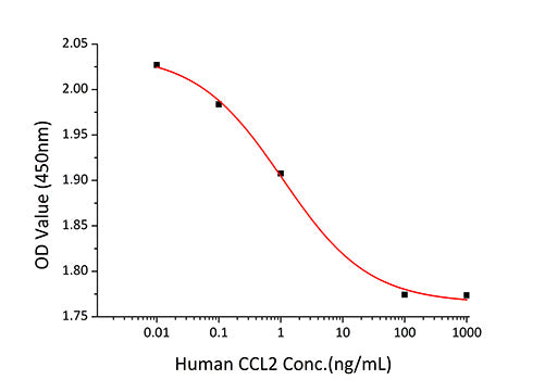Recombinant Human CCL2/MCP-1 Protein