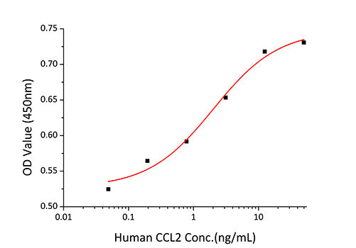 Recombinant Human CCL2/MCP-1 Protein