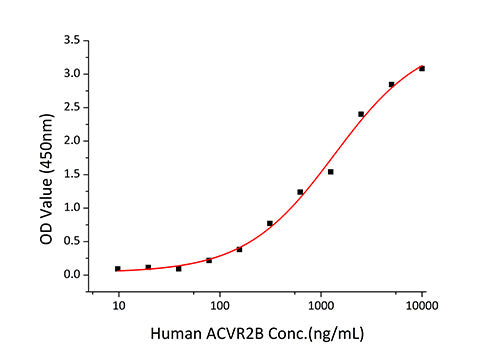 Recombinant Human Endoglin/ENG/CD105 Protein