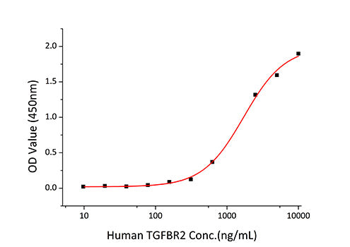 Recombinant Human Endoglin/ENG/CD105 Protein
