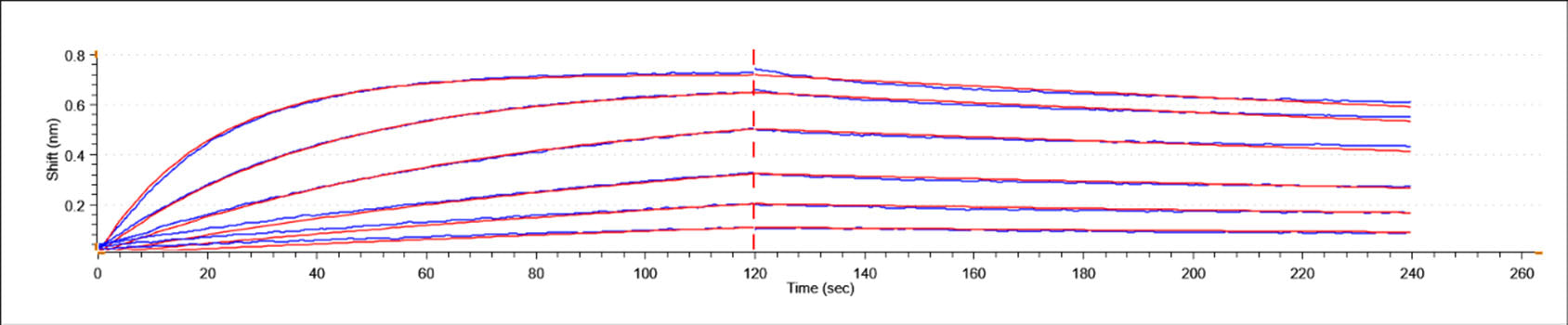 Recombinant Human MUC-16/CA125 Protein
