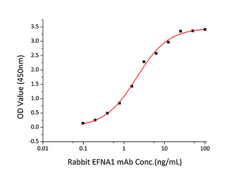 Recombinant Human Ephrin-A1/EFNA1 Protein