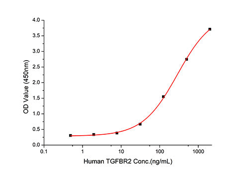 Recombinant Human Endoglin/ENG/CD105 Protein
