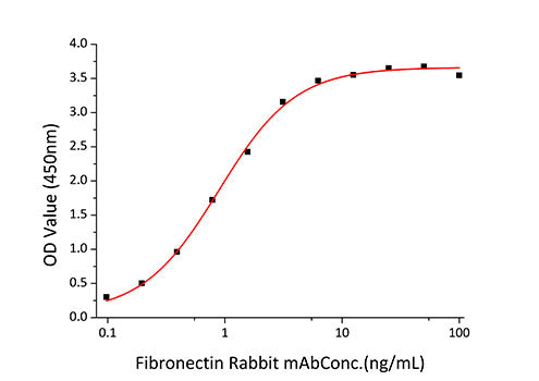 Recombinant Human Fibronectin/CIG/FN1 Protein
