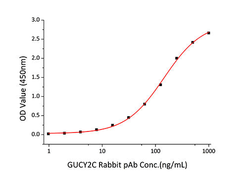 Recombinant Human Guanylyl cyclase C/GUCY2C Protein