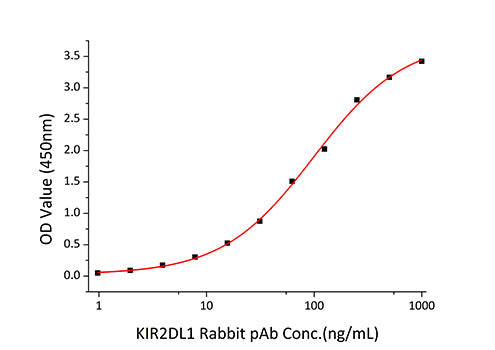 Recombinant Human NKAT-1/KIR2DL1/CD158a Protein