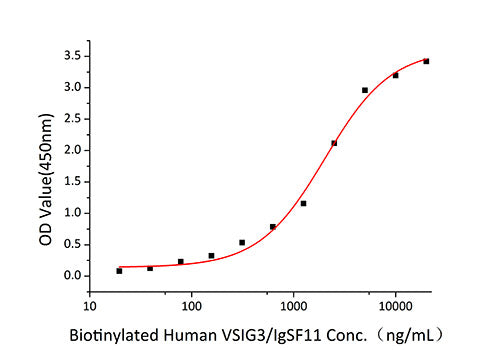 Recombinant Human VSIG3/IgSF11 Protein