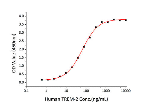 Recombinant Human Apolipoprotein E/ApoE Protein