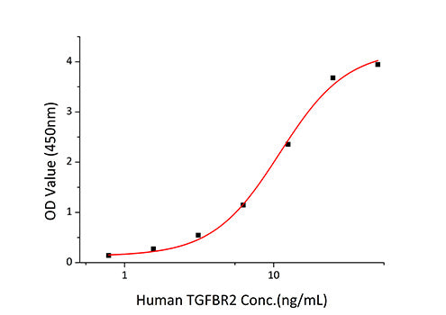 Recombinant Human Mature TGF-beta 1 Protein