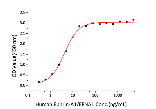 Recombinant Mouse EphA2/ECK Protein