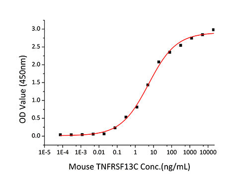 Recombinant Mouse TNFRSF13C/BAFFR/CD268 Protein