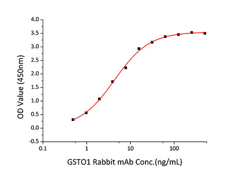 Recombinant Human Glutathione S-transferase omega-1/GSTO-1/SPG-R Protein
