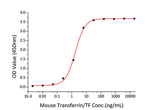 Recombinant Mouse sTfR/CD71 Protein