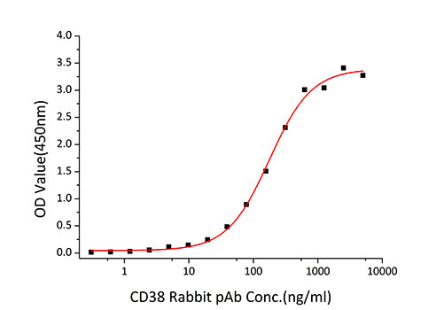 Recombinant Mouse CD38 Protein