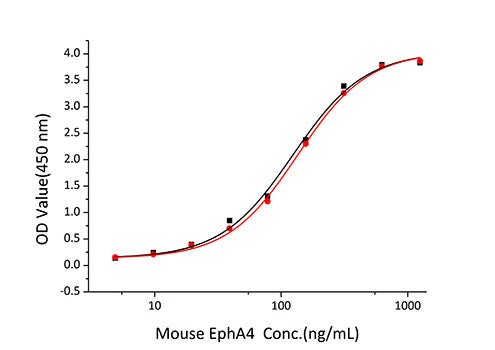 Recombinant Mouse Ephrin-A2/EFNA2 Protein
