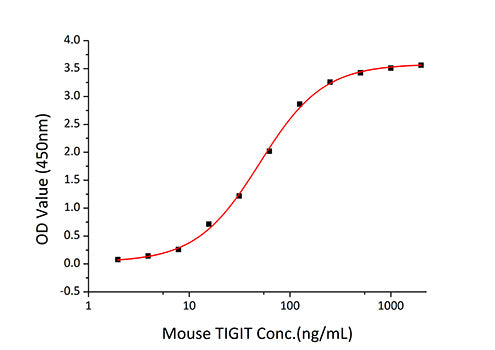 Recombinant Mouse TIGIT Protein
