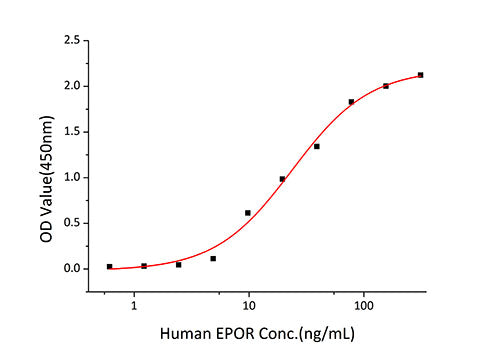 Recombinant Human Erythropoietin/EPO Protein