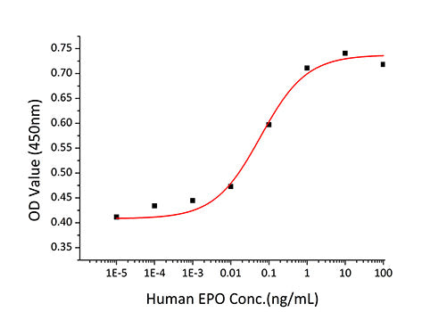 Recombinant Human Erythropoietin/EPO Protein