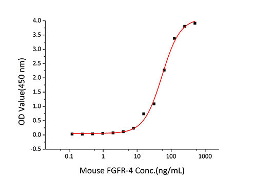 Recombinant Mouse FGFR-4/CD334 Protein