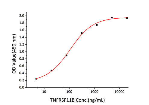 Recombinant Human TNFSF10/TRAIL/CD253 Protein