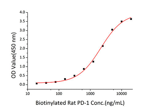 Recombinant Rat B7-H1/PD-L1/CD274 Protein