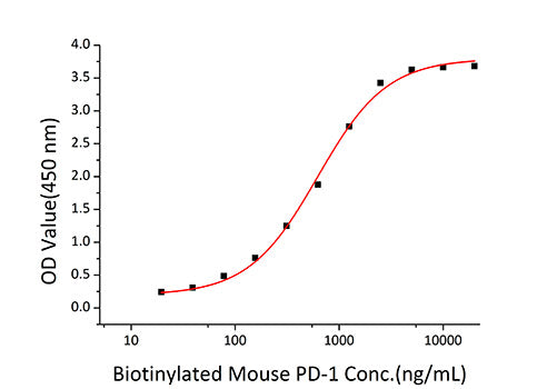Recombinant Mouse B7-DC/PD-L2/CD273 Protein