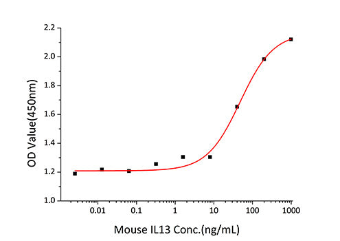 Recombinant Mouse IL-13 Protein