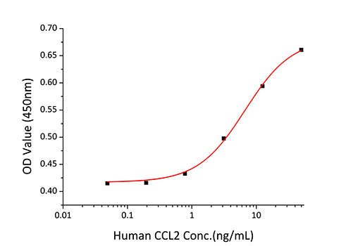 Recombinant Human CCL2/MCP-1 Protein