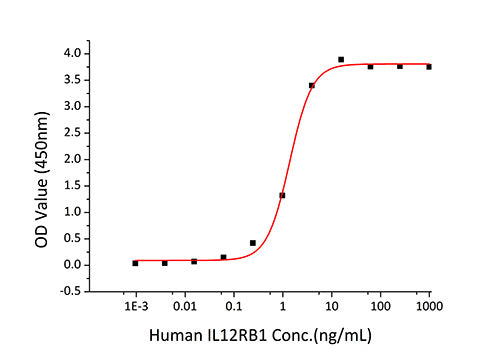 Recombinant Mouse IL-12B/IL-12 p40 Protein