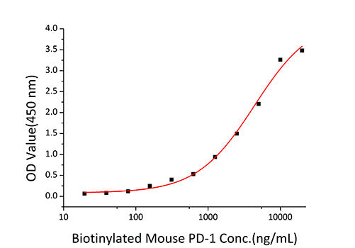 Recombinant Mouse B7-DC/PD-L2/CD273 Protein