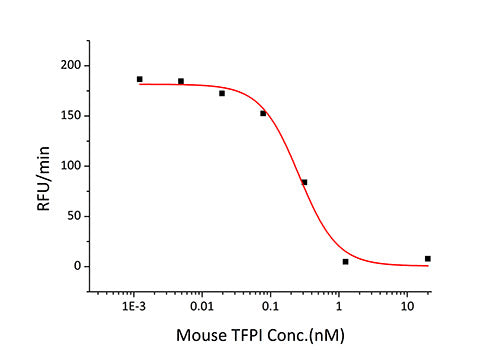 Recombinant Mouse TFPI Protein