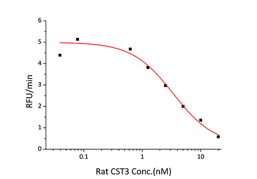 Recombinant Rat Cystatin-C/CST3 Protein