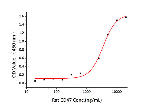 Recombinant Rat CD47 Protein