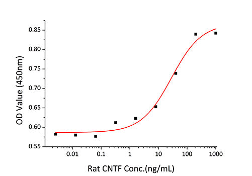 Recombinant Rat CNTF Protein