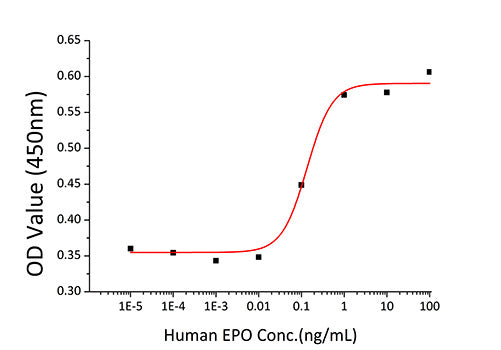 Recombinant Human Erythropoietin/EPO Protein