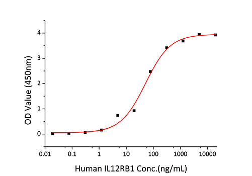 Recombinant Mouse IL-12B/IL-12 p40 Protein