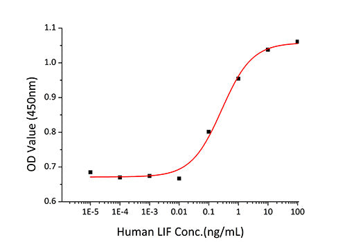 Recombinant Human Leukemia inhibitory factor/LIF Protein