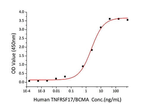 Recombinant Human TNFSF13B/BAFF/CD257 Protein