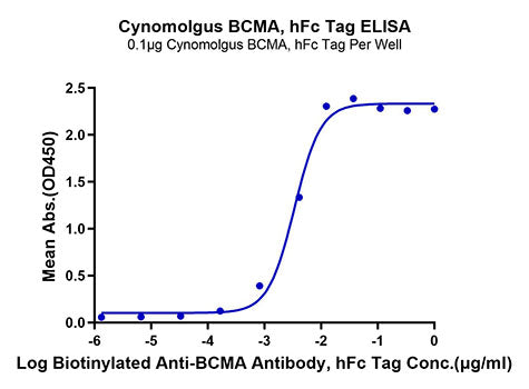 Recombinant Cynomolgus TNFRSF17/BCMA/CD269 Protein