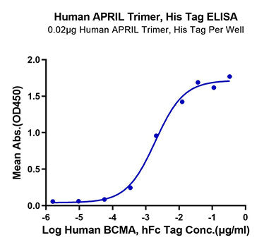 Recombinant Human TNFSF13/APRIL/CD256 Trimer Protein