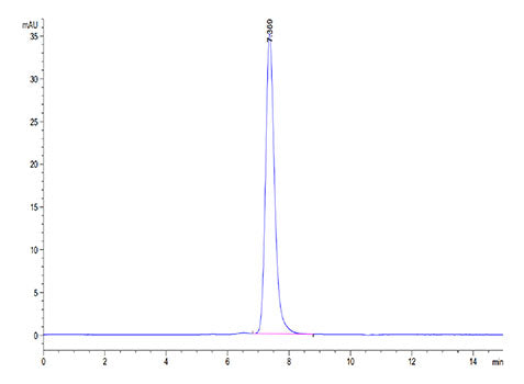 Recombinant Cynomolgus PD-1/PDCD1/CD279 Protein