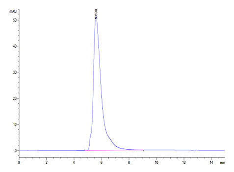 Recombinant Human B7-H1/PD-L1/CD274 Protein
