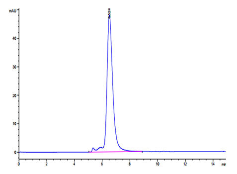 Recombinant Human Nectin-4/PVRL4 Protein