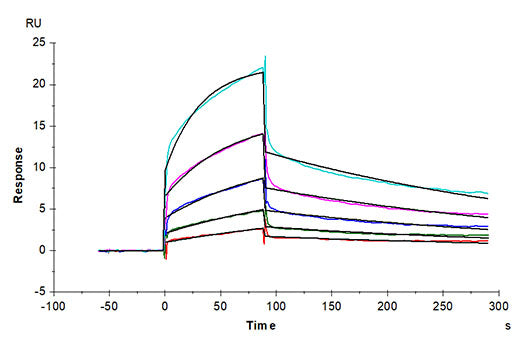 Recombinant Human Nectin-4/PVRL4 Protein